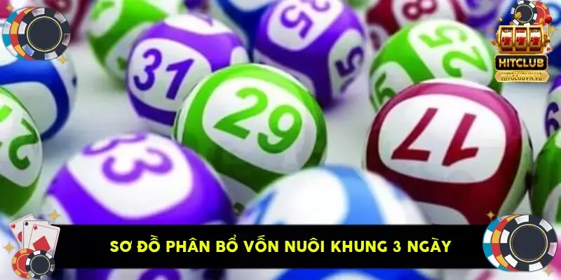 Sơ đồ phân bổ vốn nuôi khung 3 ngày Sơ đồ phân bổ vốn nuôi khung 3 ngày